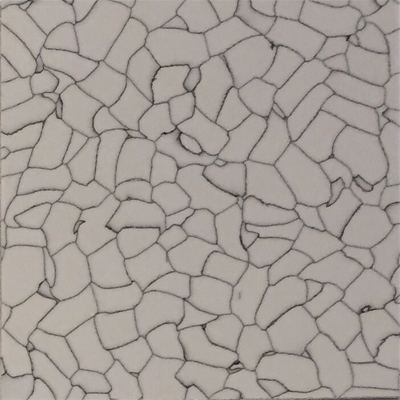 1708581555407994.jpg